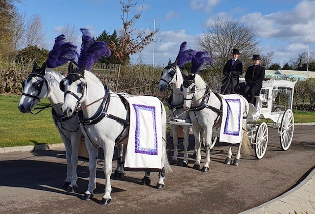 Horses & hearse x 4
